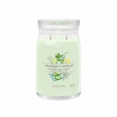 Cucumber Mint Cooler signature candle 567 g