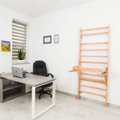 Parallel Bars for Wall Bars