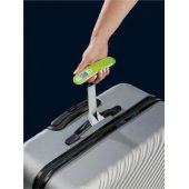 Digital Scale Green