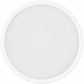 Išmanusis lubinis šviestuvas D20