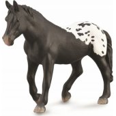 Collecta Sugarbush veislės darbinė kumelė