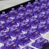 Purplepulse Mechanical Switches 65 pcs.
