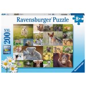 Ravensburger dėlionė 200 pc Mažyliai gyvūnai