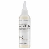 Intensive Bond Building Hair Treatment No.0