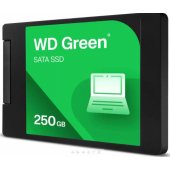Žalias 250GB WDS250G5G0A