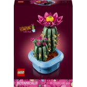 11509 Flowering Cactus