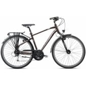 Wagant 7 2025 19"/ M Dark Brown/ Grey