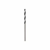 Metalo grąžtas PointTeQ 2x24x49mm 2 vnt.