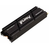 Fury Renegade 1TB SFYRSK/ 1000G