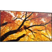 MultiSync M552 55" IPS 16:9