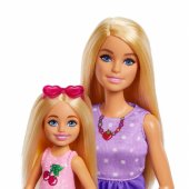 Barbie Dolls and Accessories