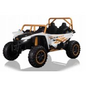 Arctic Cat Buggy White