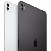 iPad Pro 11" M4 WiFi+Cellular 512 Standard glass Silver MVW43HC/ A