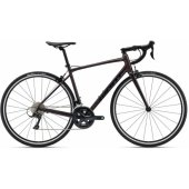 Contend 1 Rosewood (M/ L)