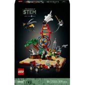 21355 The Evolution of STEM