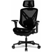 Speeder NEO Black