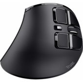 23731 Voxx Black