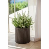 Flowerpot Small Cylinder Planter