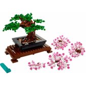 Bonsai Tree 10281