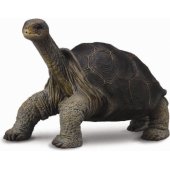 Collecta Pinta salos vėžlio figūrėlė (004-88619)