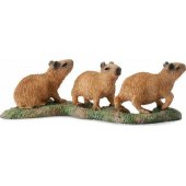 Collecta KAPIBARA YOUNG figūrėlė - CollectA - 88541 - S