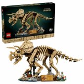 77985 Dinosaur Fossils: Triceratops
