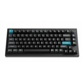 Q1U-M1 Ultra Black (EN)