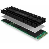 „Icy Box“ SSD aušintuvas IB-M2HS-701