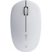 MW-04 White