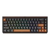 RAY68-HE Brown (EN)