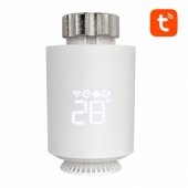 TRV06