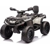 Can Am Outlander keturratis (PA.DK-CA005.2.4GHZ.SZA), pilkas