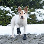 Trixie BUTY OCHRONNE Walker Active XS 2 szt.
