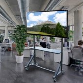 VIDEO TROLLEY