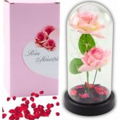 Eternal Roses in Dome with LED Lighting and Rose Petals Pink 21x11cm