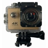 SPK-1 auksinis