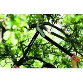 PowerGear L77 1000583