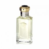 Dreamer EDT 100ml