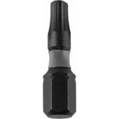 Dedra Torx T20x25mm smūginio suktuvo antgaliai, 2 vnt. lizdinėje pakuotėje