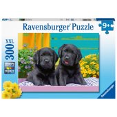 Ravensburger dėlionė, 300 detalių, Šuniukai