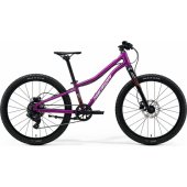 Matts J.24+ 2026 Silk Purple / White/ Red/ Black