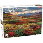 Tactic PROMO dėlionė 1000 vnt. Around the World, Northern Stars: Indian S