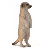 Collecta figurine SURICATE GRAY