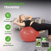 Gymball Anti Burst 65cm Rose Gold