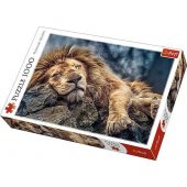 Trefl Dėlionė 1000 Miegantis liūtas (226184)