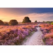 Ravensburger dėlionė Beautiful Walkways - Dream Path in Pink (1000 piec