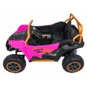 Buggy Arctic Cat Pink