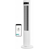DXTF11 White