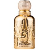 _8326793 AURAA DESIRE Cedar Paradise Extrait de Parfum spray 100ml