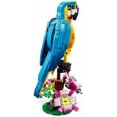 Exotic Parrot 31136